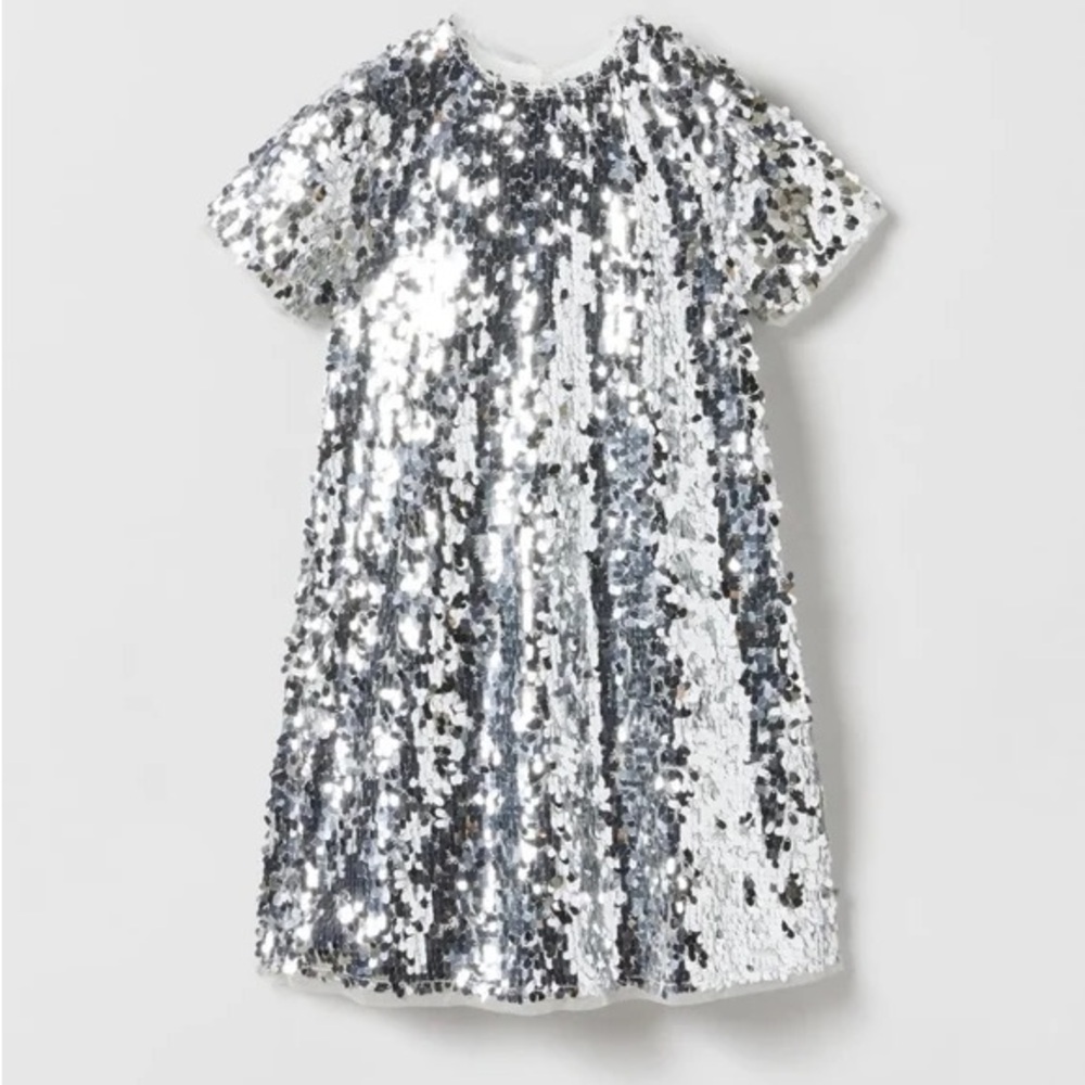 Silver Sequin Dress
